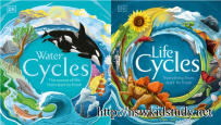 《Life Cycles & Water Cycles》生命周期与水循环英文绘本PDF