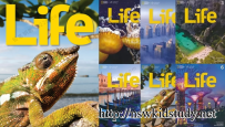 《National Geographic Learning Life》全六册学生用书G1-G6附MP3音频